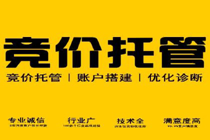 百度推广费用投入与品牌故事传播的案例分析